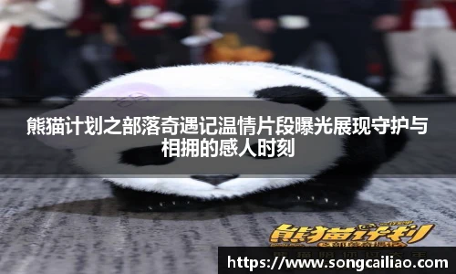 PA国际厅官方网站