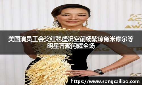 美国演员工会奖红毯盛况空前杨紫琼黛米摩尔等明星齐聚闪耀全场